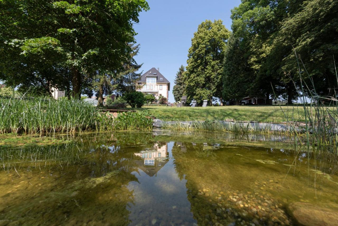Villa Geisenhof Miltenberg Exteriör bild